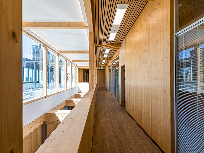 Panel Dekoratif Dinding Kayu Solid Interior